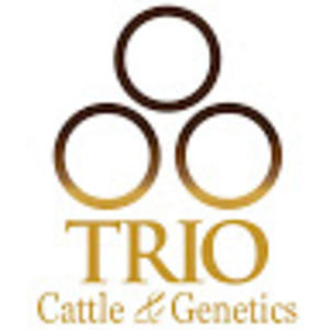 Meet your Posher, Allen